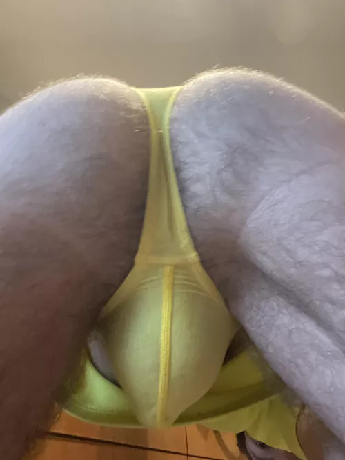 Hump Day! by xXThumpThumpXx