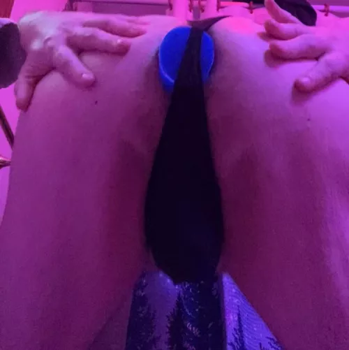 I need to have my anus plugged all day  by ScaleModelNewark