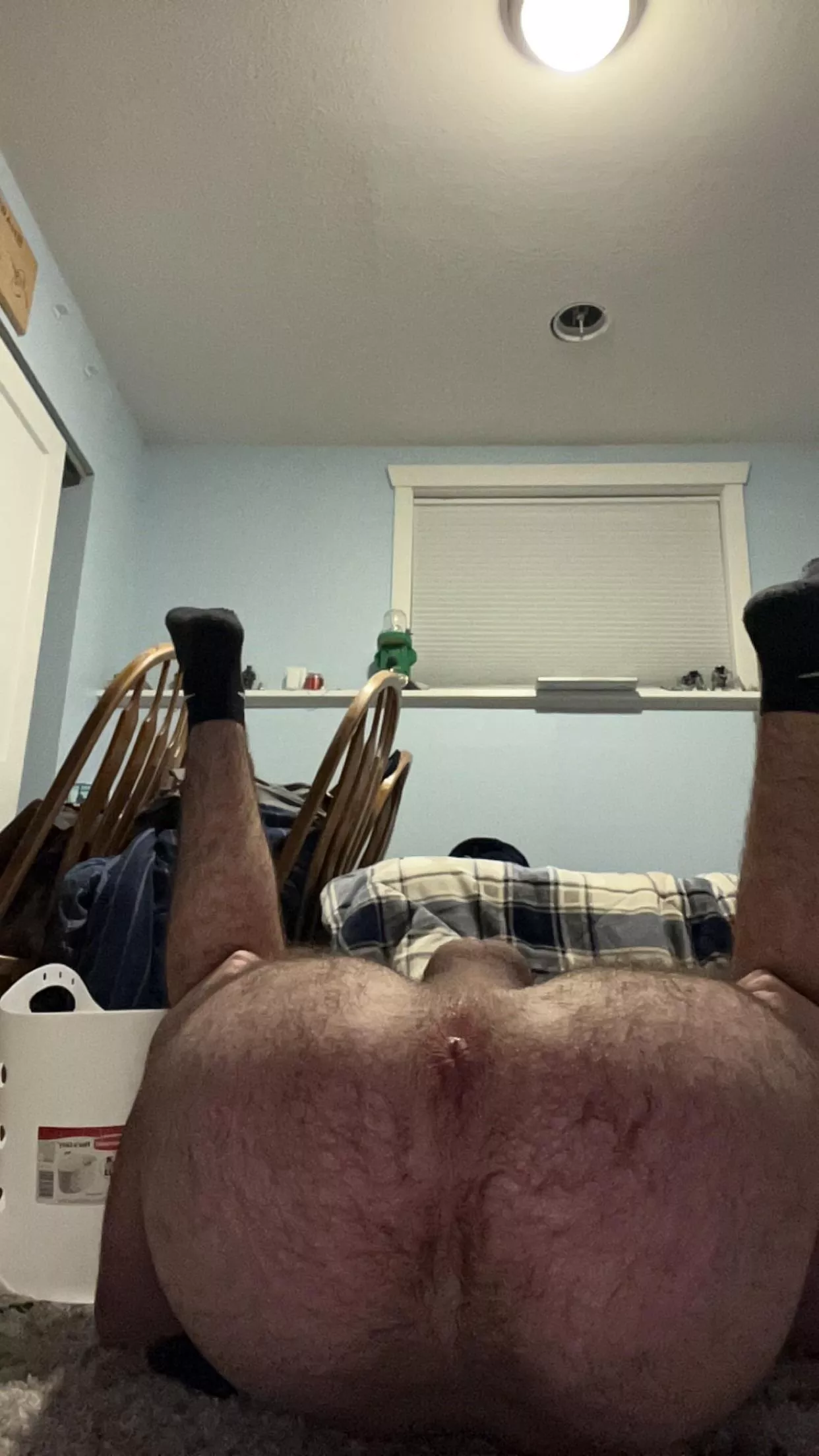 I think I’m hairy enough for here. Agree or disagree? posted by Boring_Huckleberry74