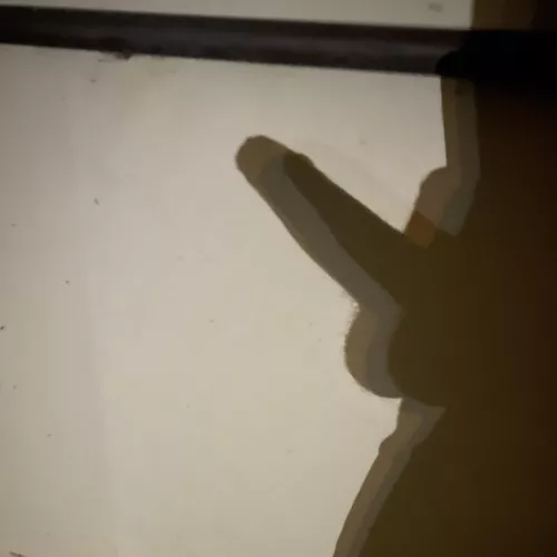 Just enjoying a nice walk by Dan_and_Hailey