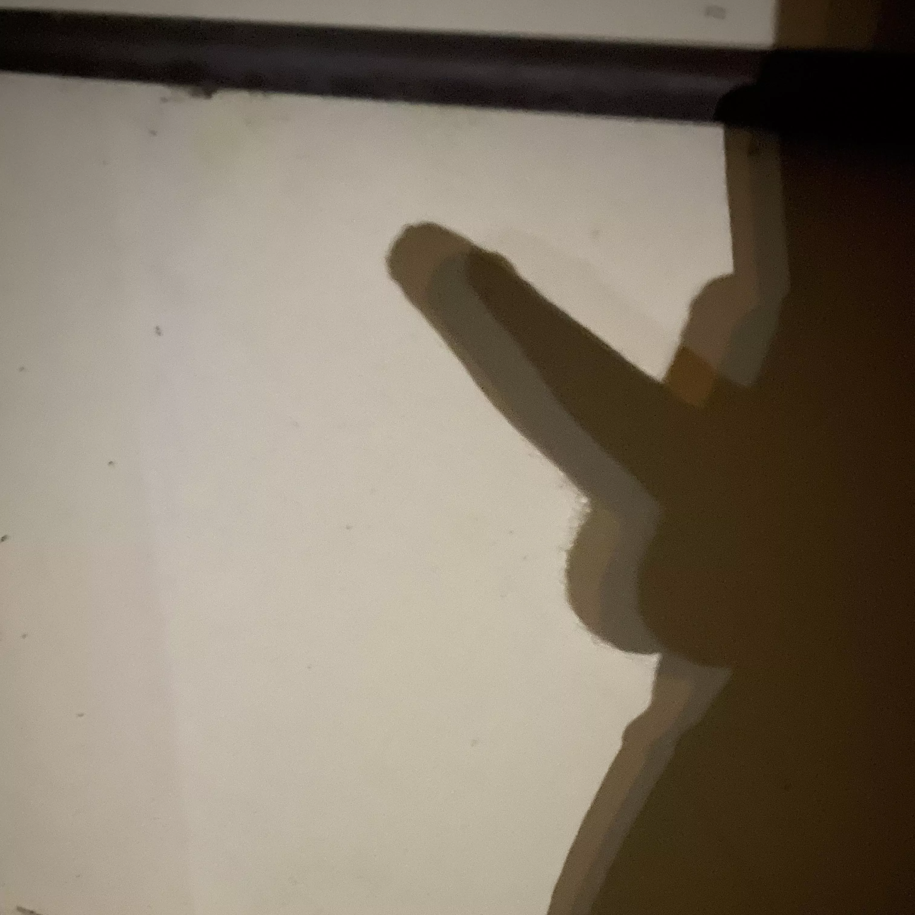 Just enjoying a nice walk posted by Dan_and_Hailey