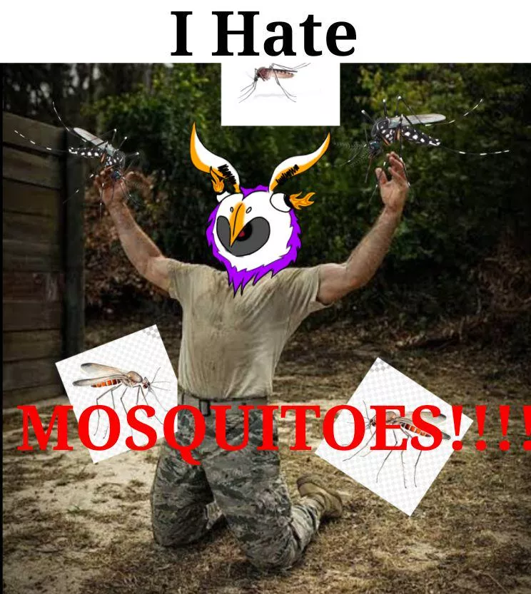 Living in a tropical country be like: posted by Lumela_5