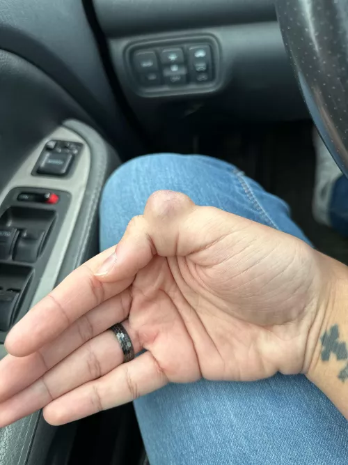 Meet Steve. He’s 8 years old. by IWantAPuppy27