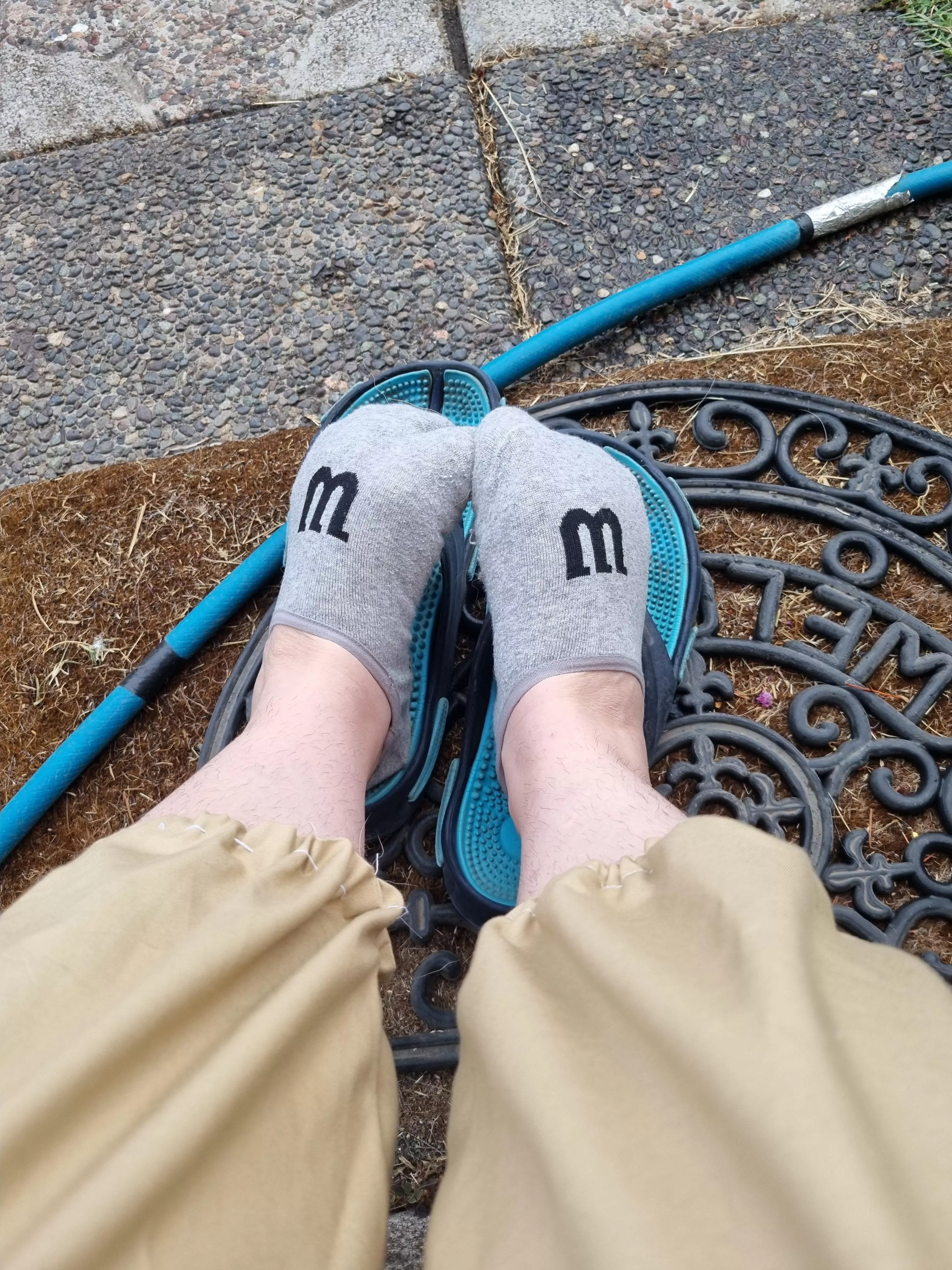 New day new sock you want to sniff posted by ramdom_mistake