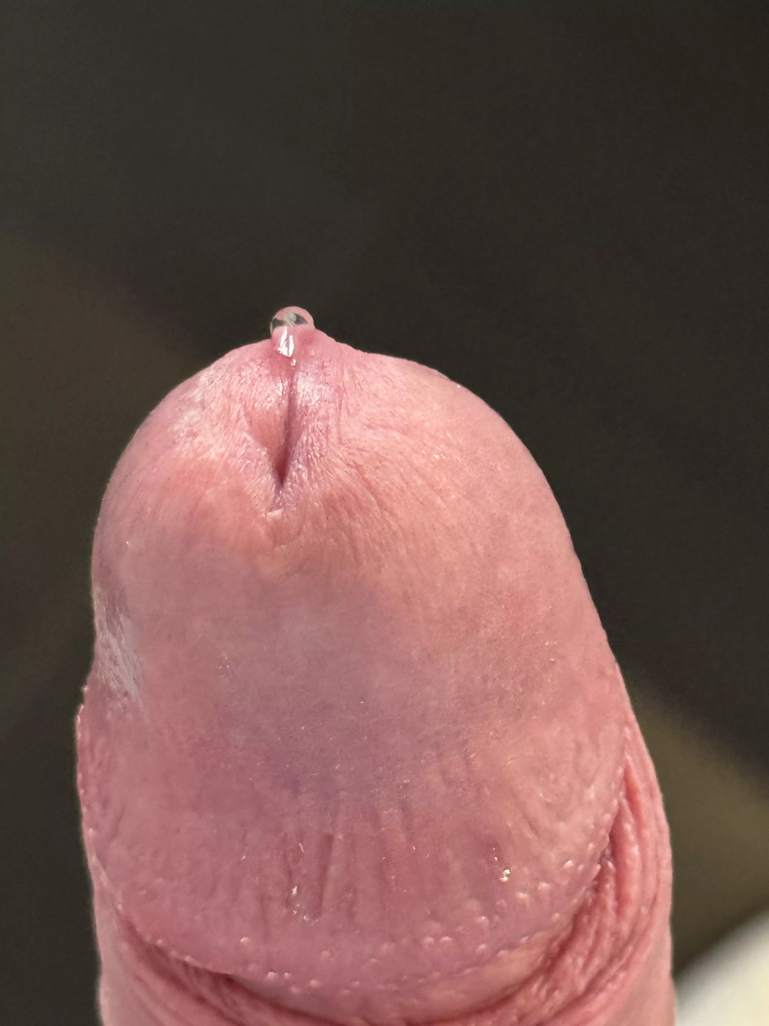 Nsfw reddit did this to me posted by BurningKeypress