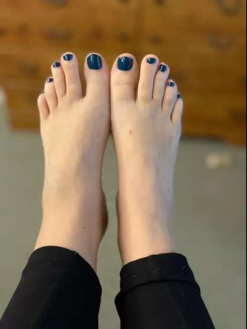 Rub your face between them by hw30midwest