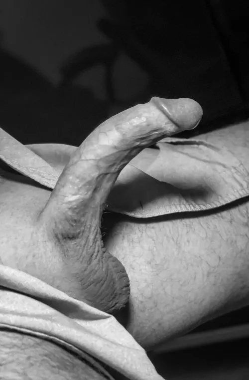 Shadows by Level5Visual