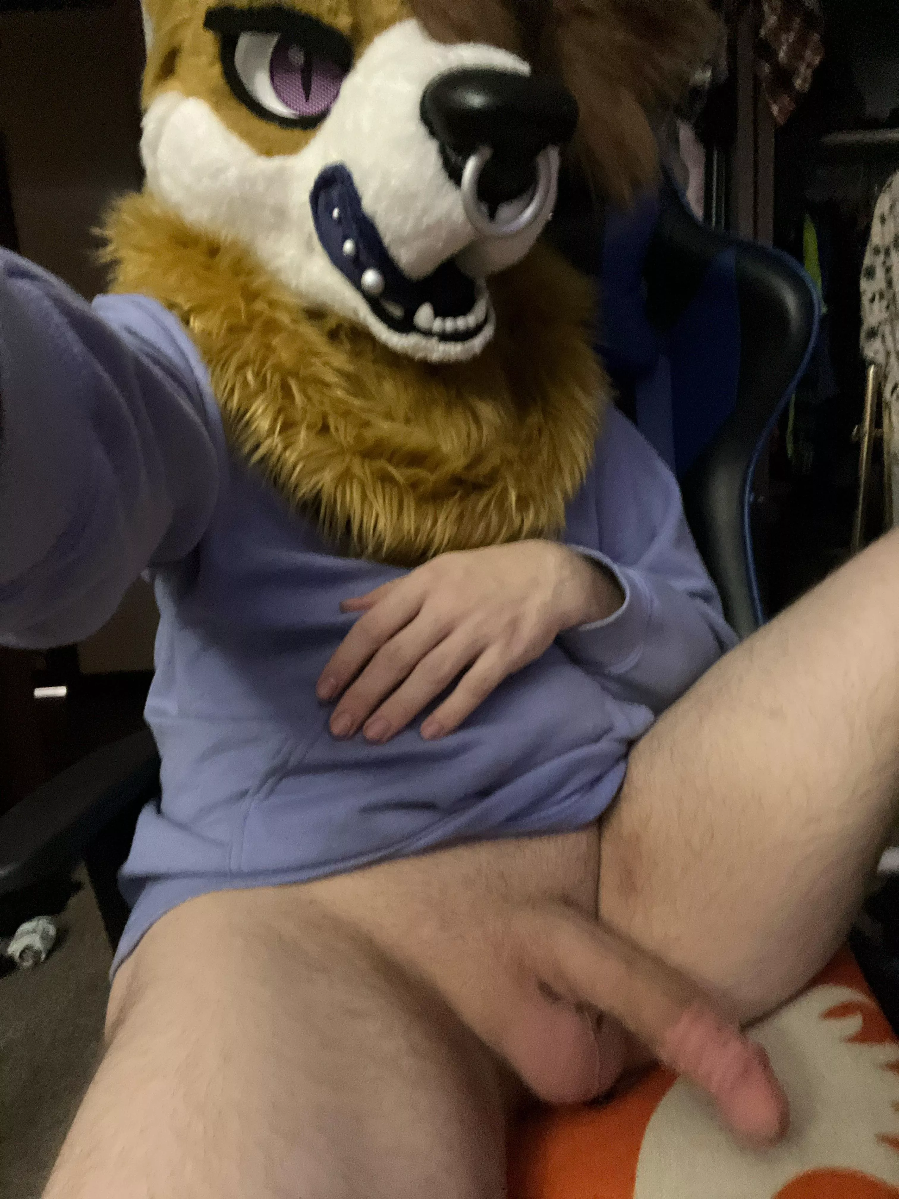 Sleep over with your favorite fox? [Non-binary] posted by Khrystan_AD