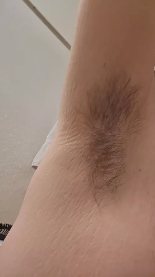 Would anyone sniff my morning pits no deodorant and super musky  by hairyarmpitlove