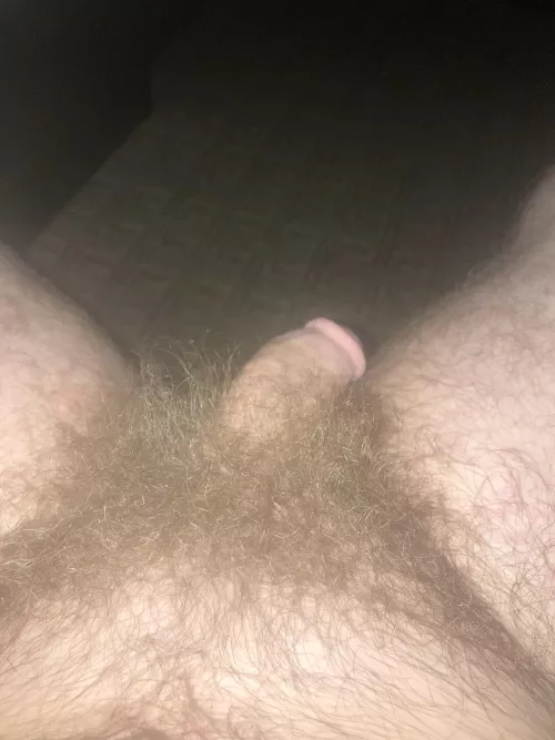 A little over a year no shave or trim by Big-Meaning-8434