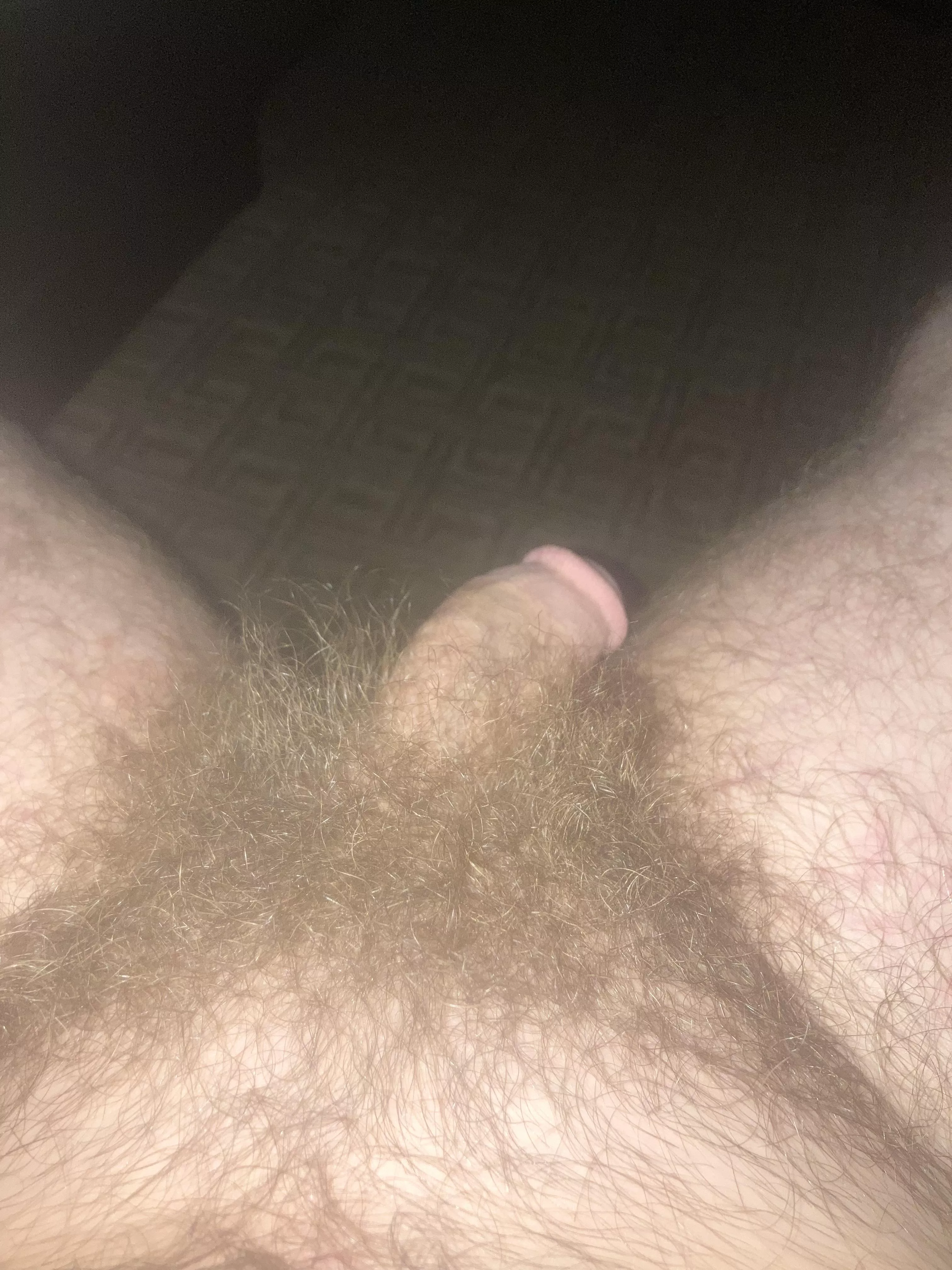 A little over a year no shave or trim posted by Big-Meaning-8434