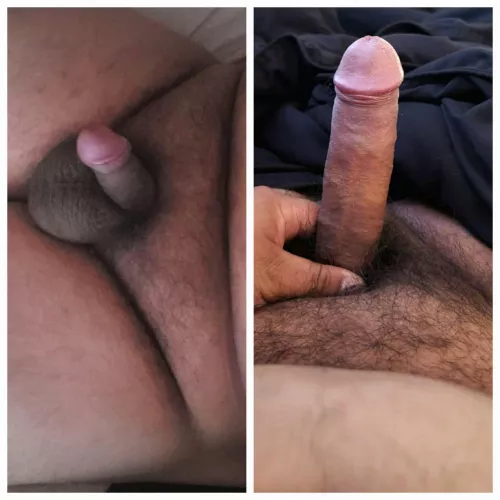 Before and after  by Fancy_Rhubarb_7469