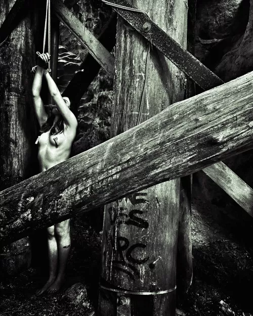 ~ BRACKEN ~ by Safe_and_Bound