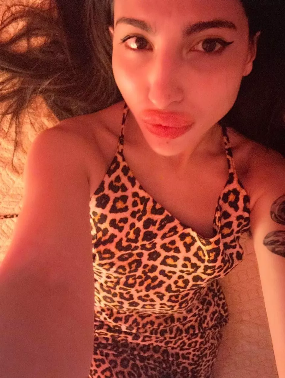 Can you be tutor please? I'll be a good girl posted by suteljeui