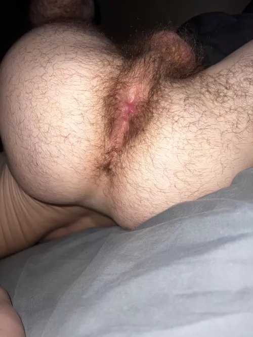 Damn my hairy puckered hole needs to be tongue fucked 😛 by Drakey2000OF