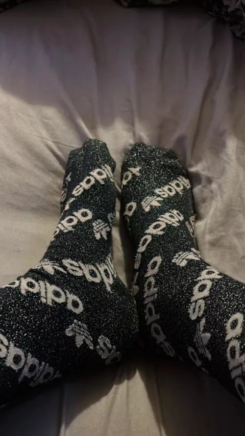 Glittery socks [F] by Fun_Sugar_8172