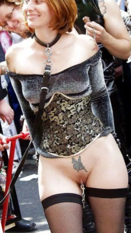 going for a leashed walk posted by Mundane-Employer-719