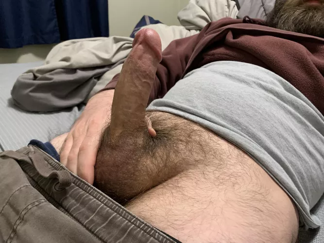 Hairy by Veterinar67