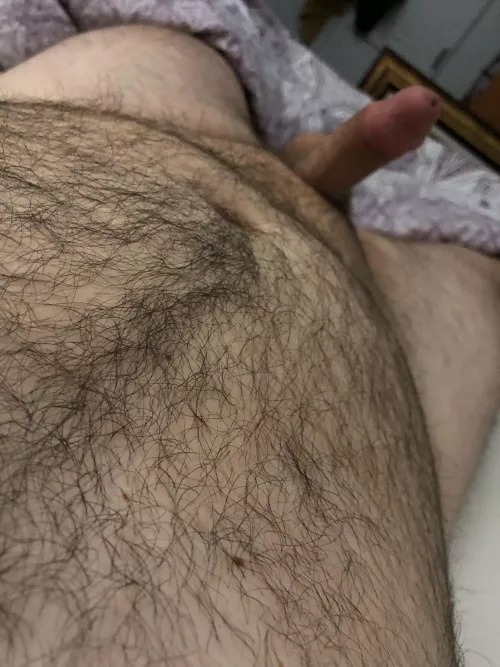 Help me cum fellow bears by bearhairyboy