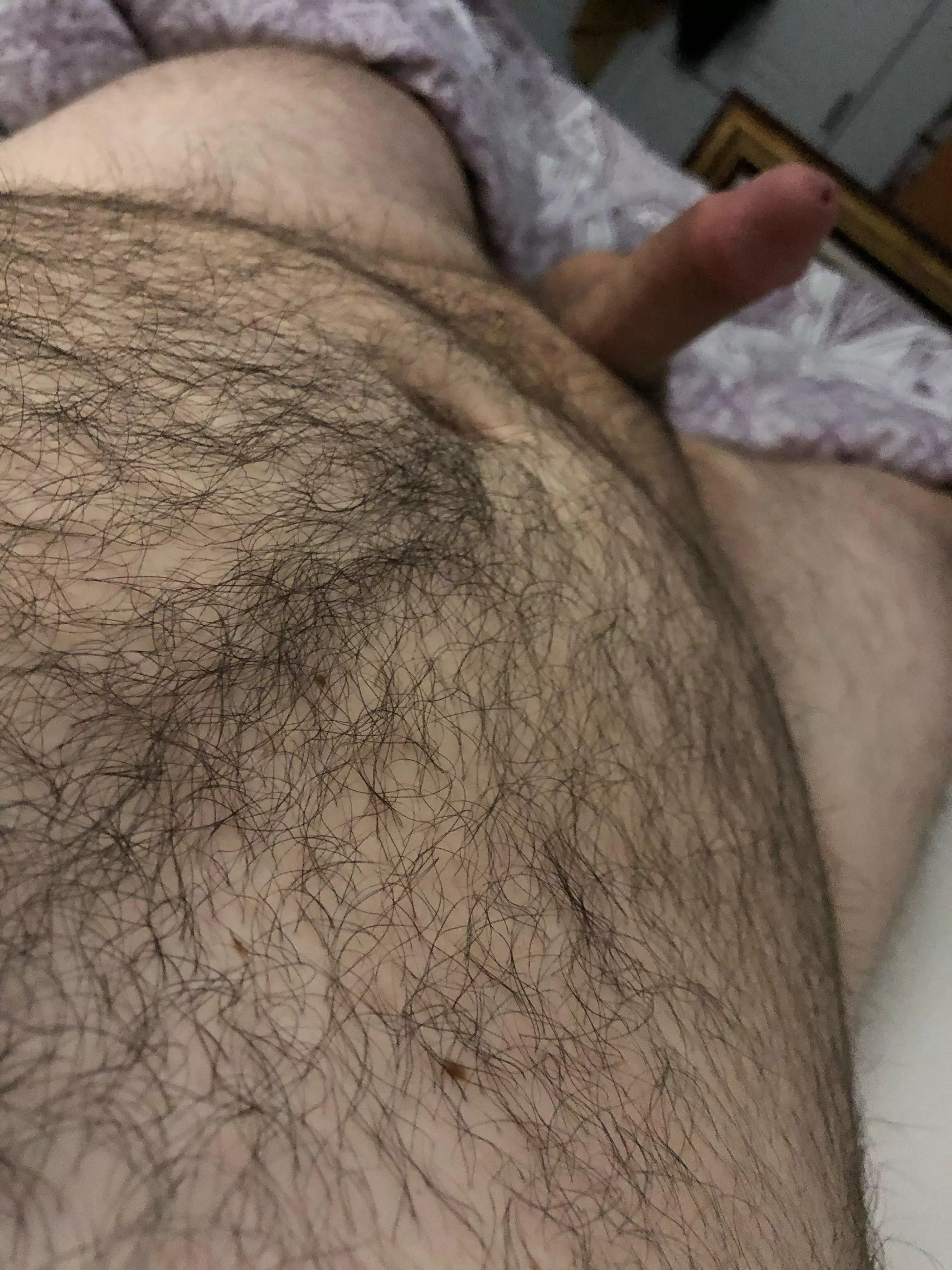 Help me cum fellow bears posted by bearhairyboy