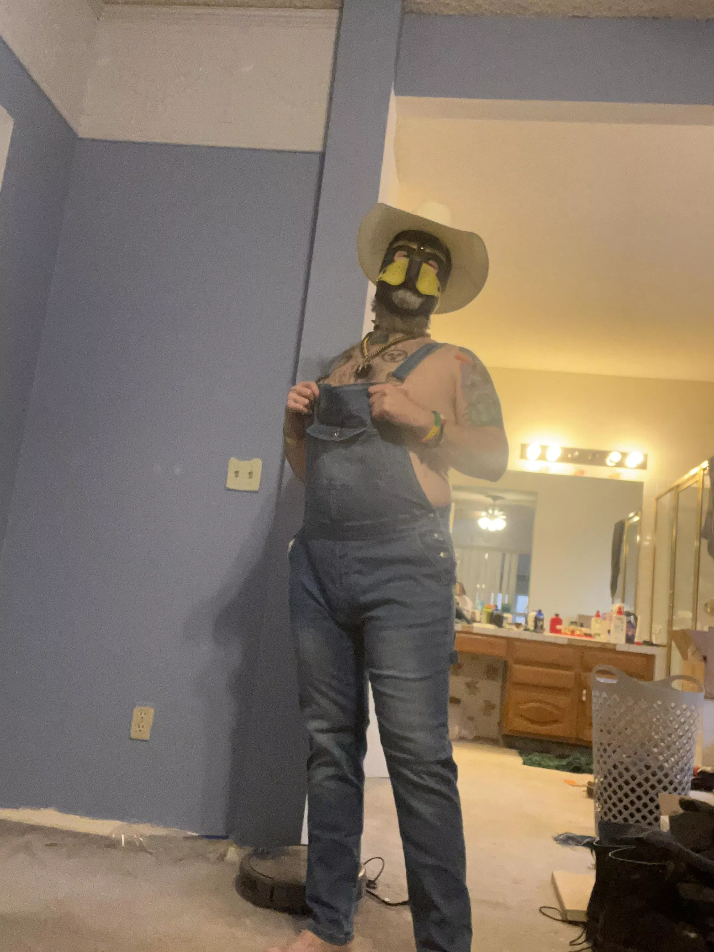 Howdy pups! posted by daddyundies