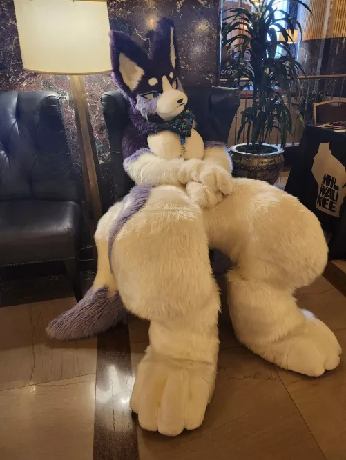 Just chilling by PreyingShark