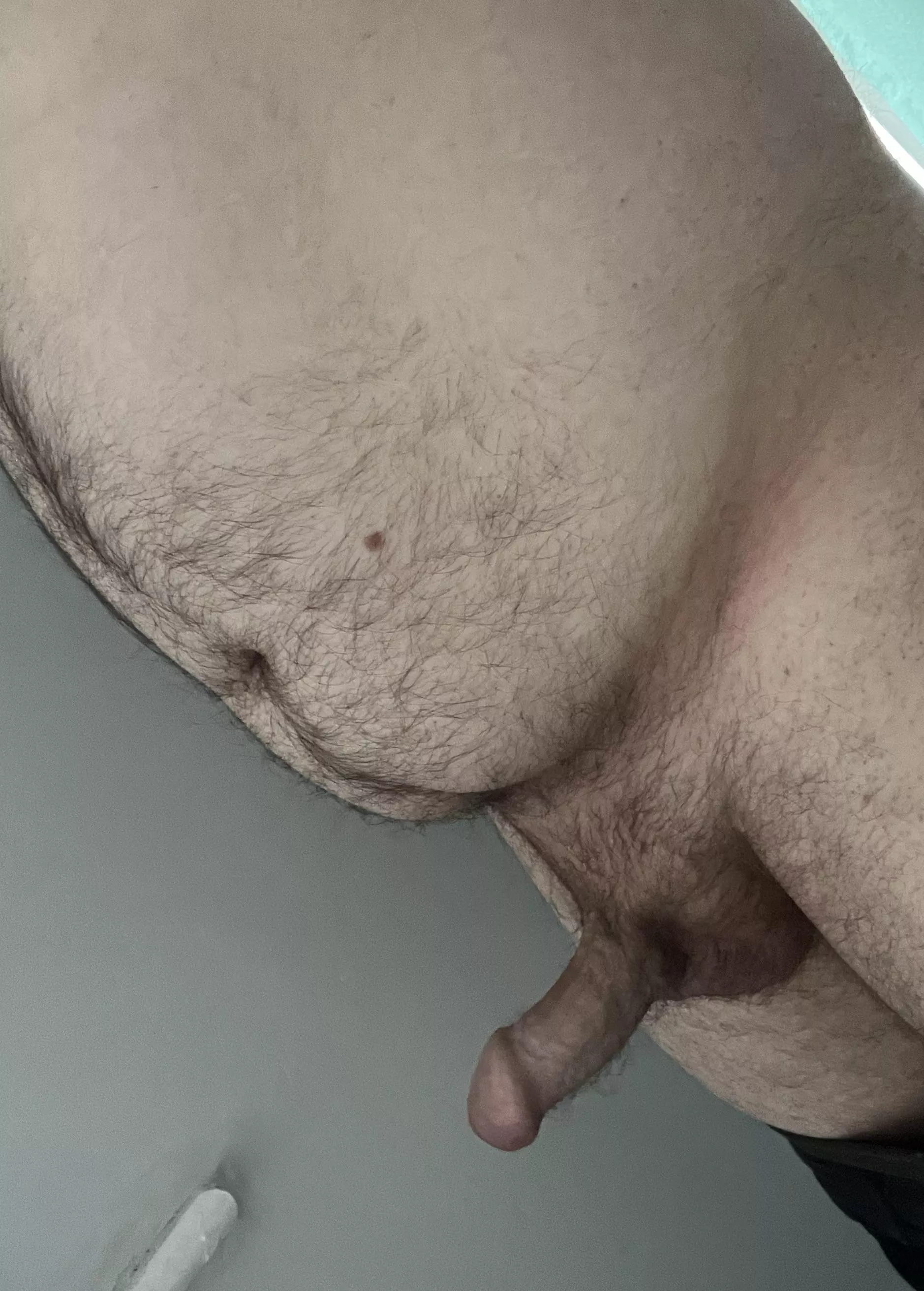 Looking for some fun today while I WFH posted by LADIES_PM_ME_2_SEXT