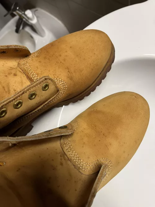 Mold stains by richijb