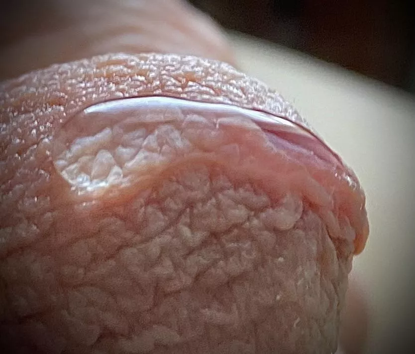 More macro magic posted by Jackueight