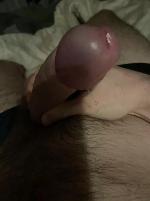 My dick leaks precum if I rub my head at your asshole 🥵💦 by RevolutionaryTop9341