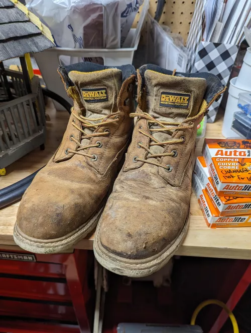 Old Workhorses by sergnome