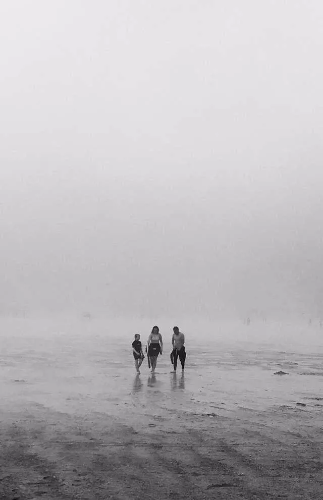 Sea Mist posted by Psychological-Yam319