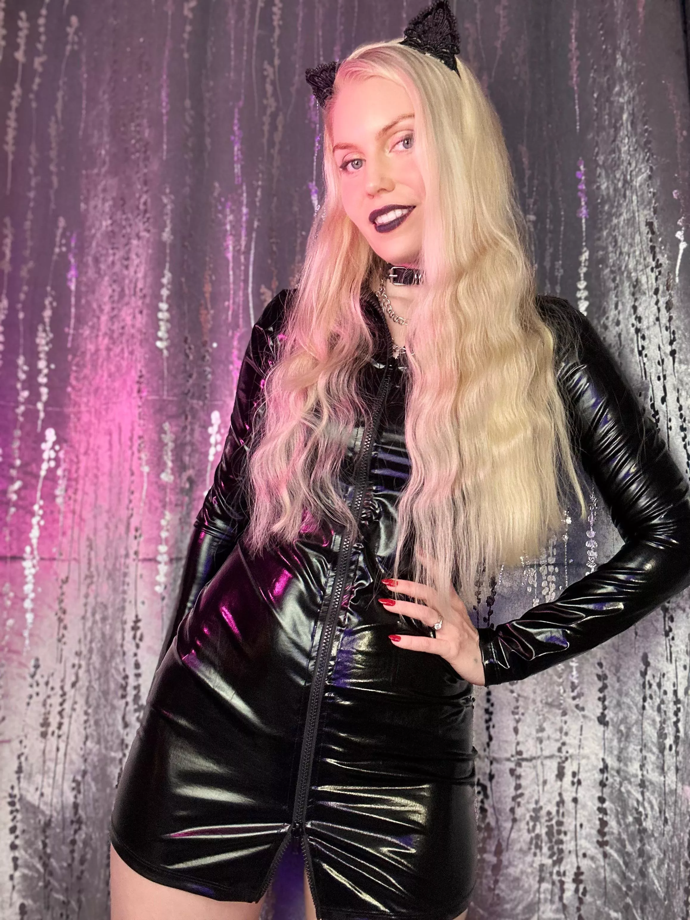 Shiny Kitty  posted by ittybityprettykitty