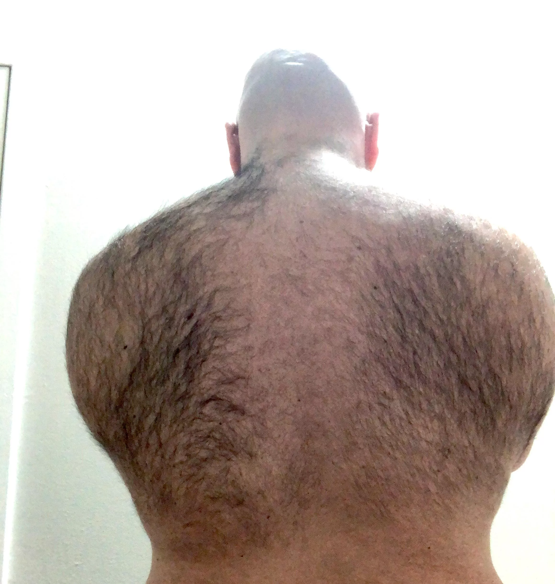 Should I shave?? posted by BrooksieW34