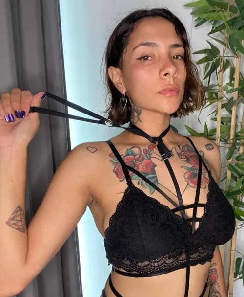 Take the leash and command by engildhullinge86