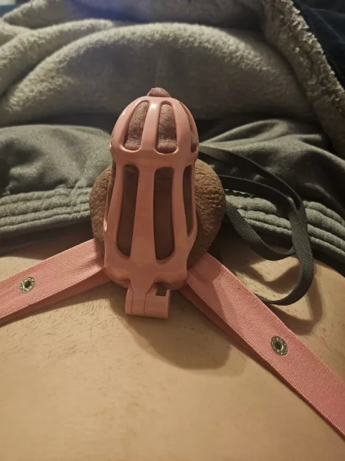 3 days so far by Street_Programmer_62