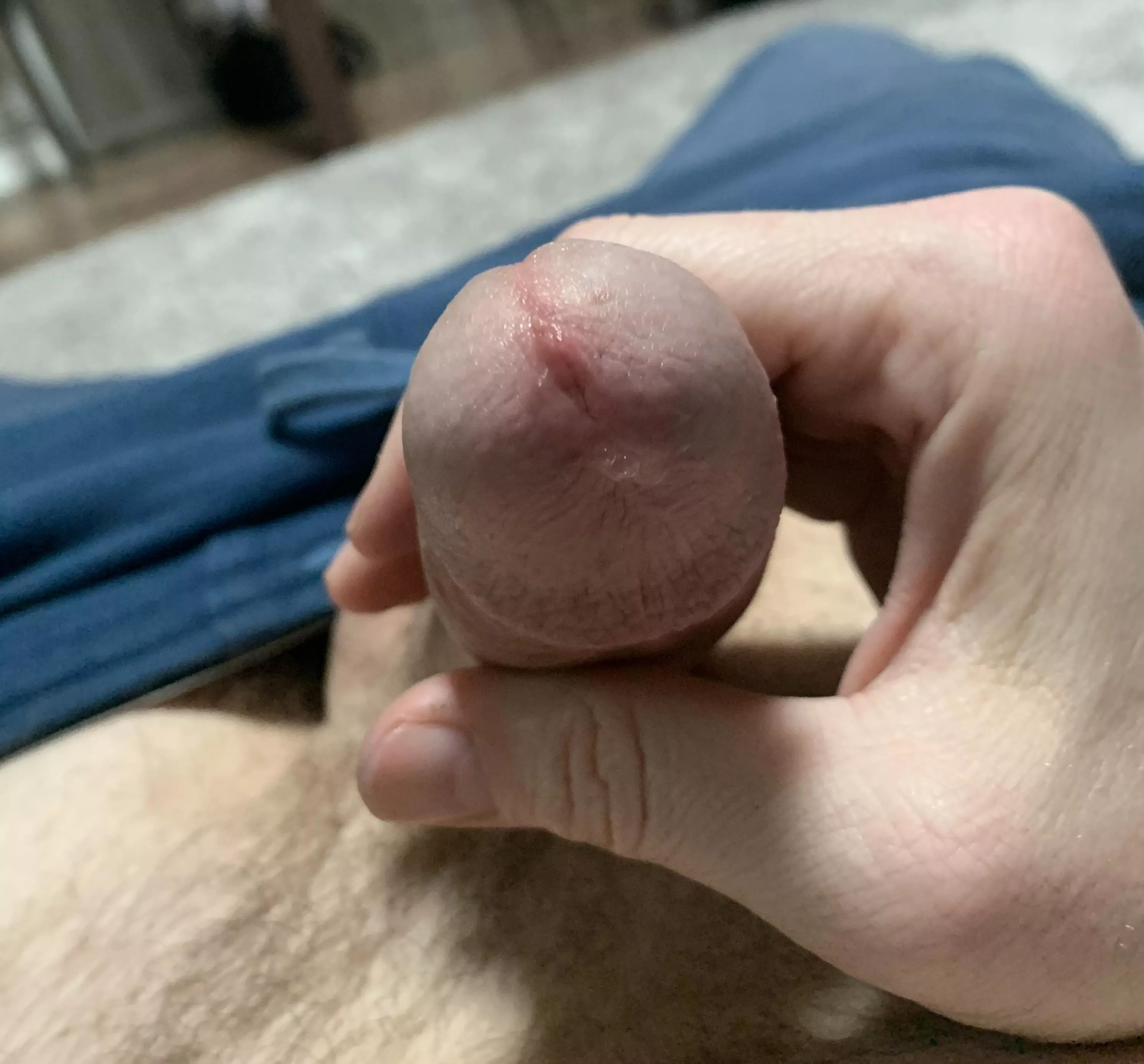 A little wet posted by HDThoreaulySatisfied