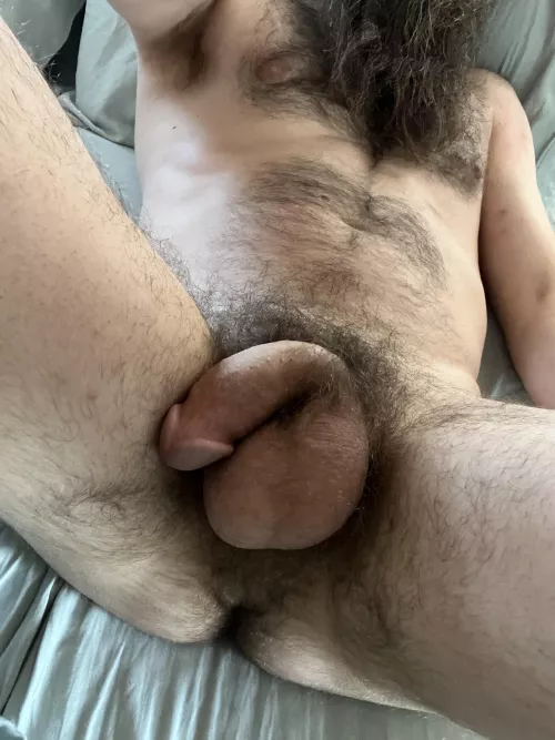 Afternoon nap. by firm_tree