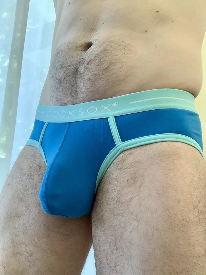 Cocksox Briefs posted by BrieflineD