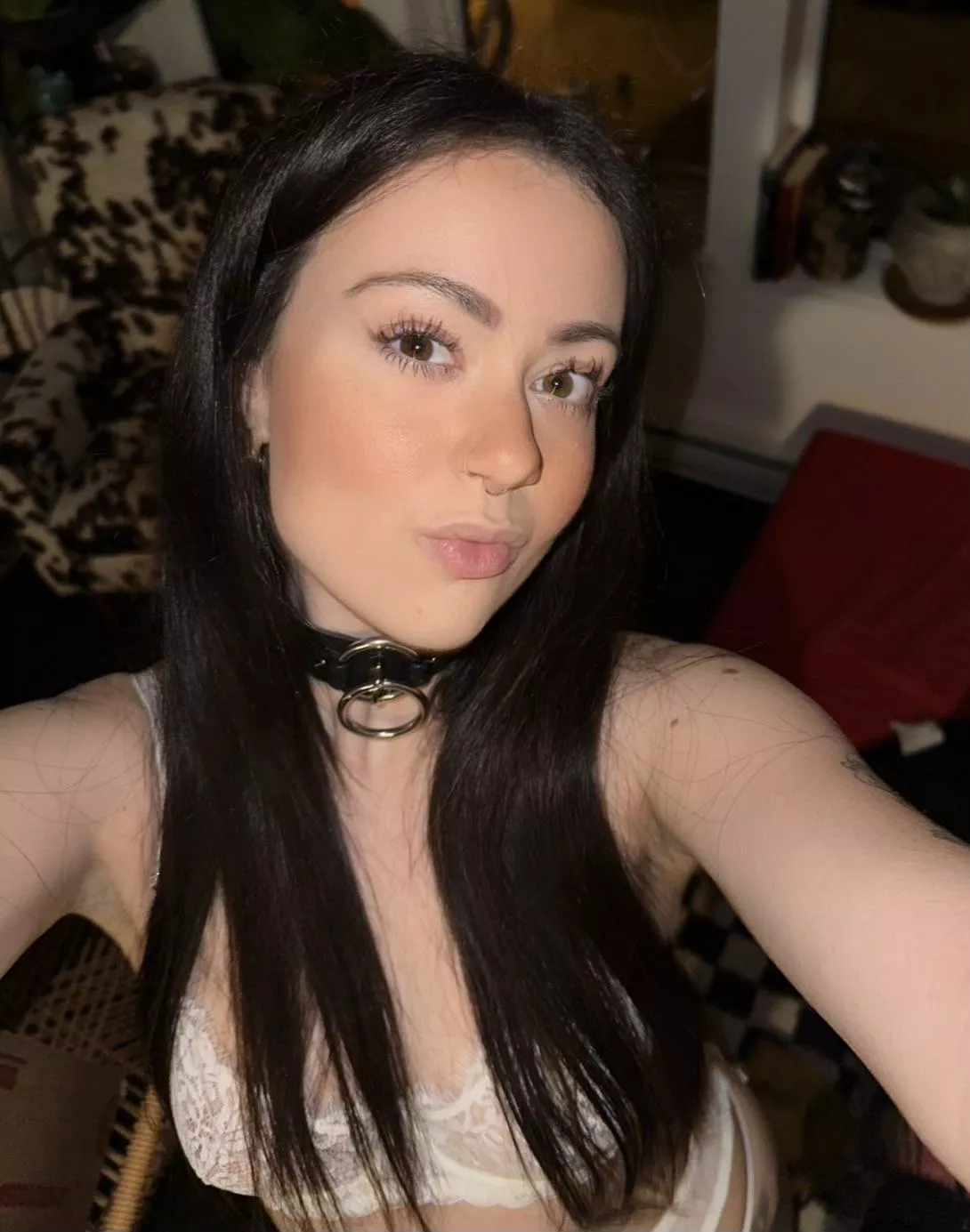 Collared and needing a leash posted by georgiawest1