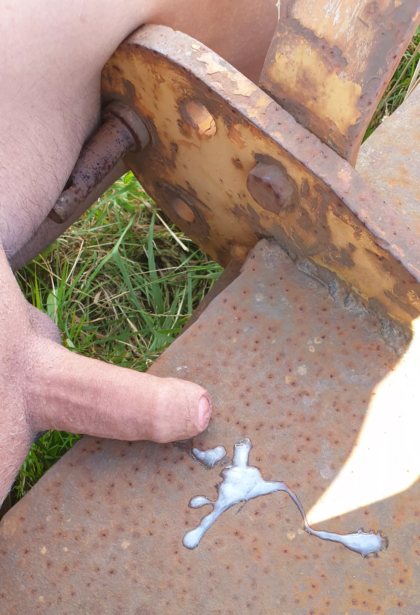 Dick & rust #3 posted by JoeMarc72