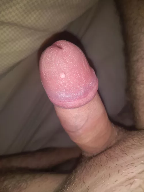 Drip by antonypresly