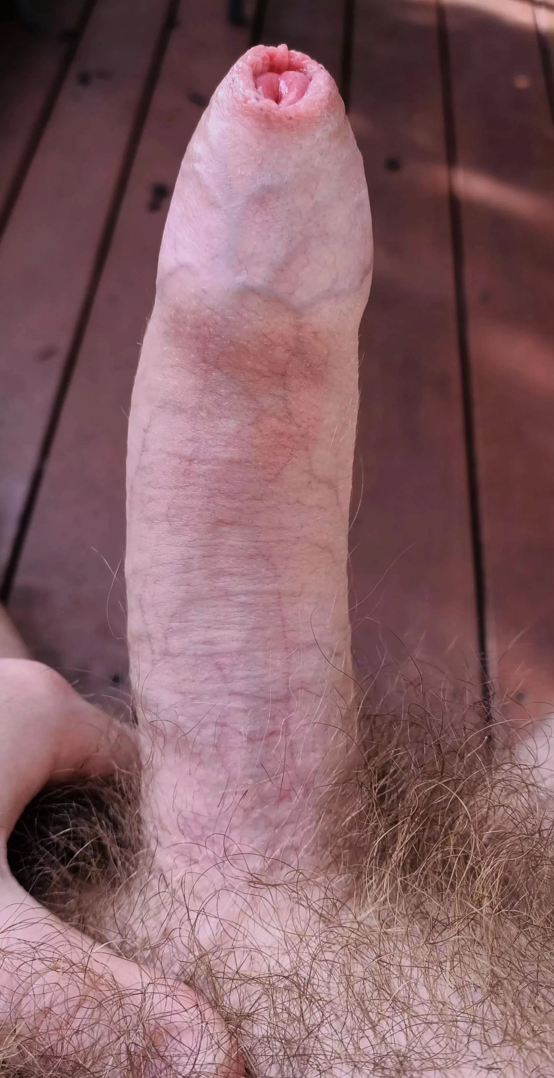 Enjoying the Aussie sun  posted by Melbourne_uncut