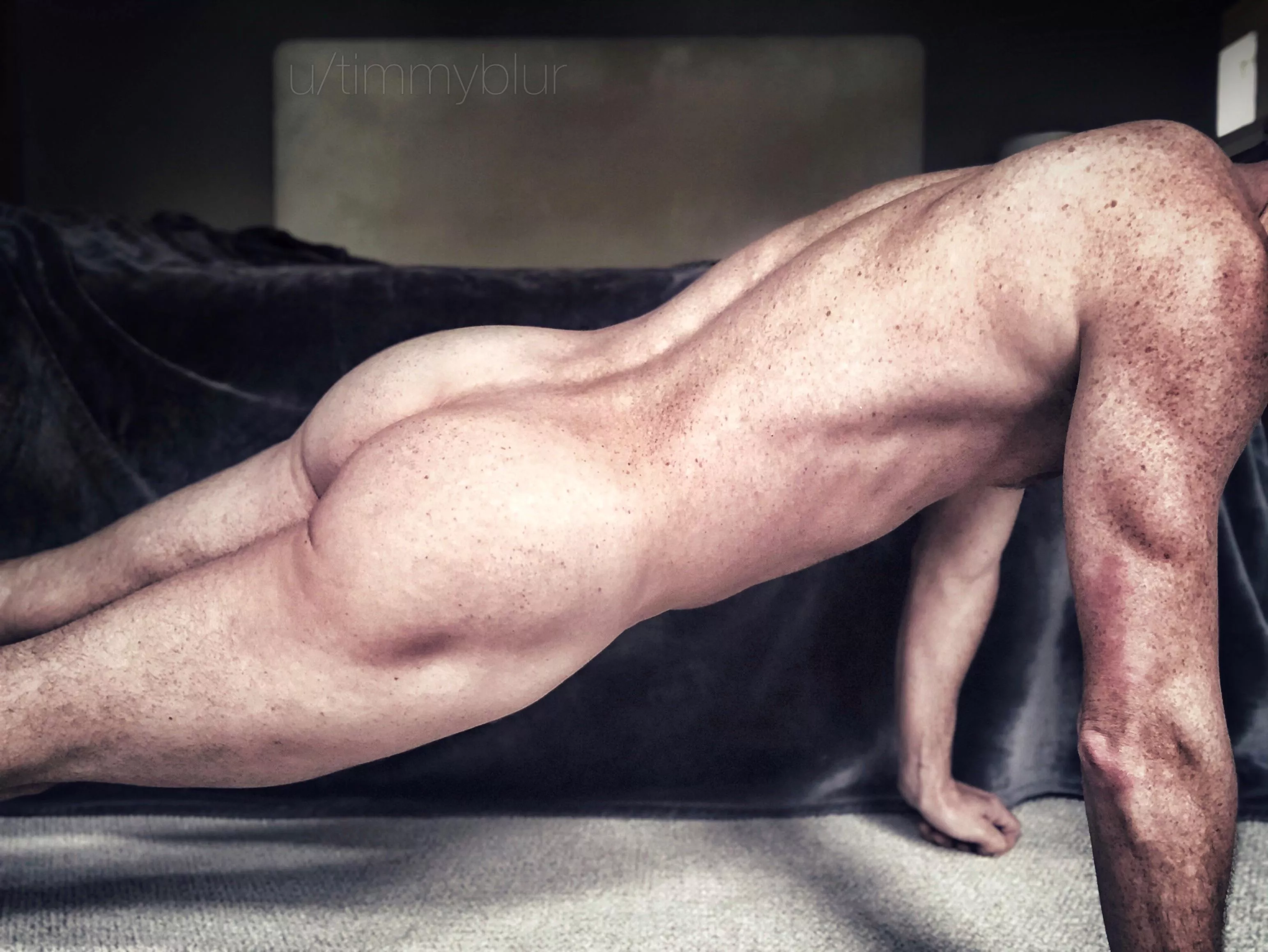 Front plank, butt with a twist. posted by timmyblur