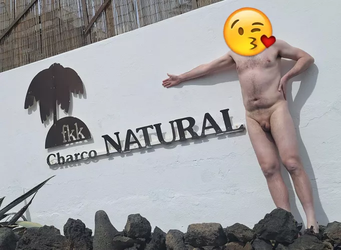 Had an amazing day here by AardvarkMike