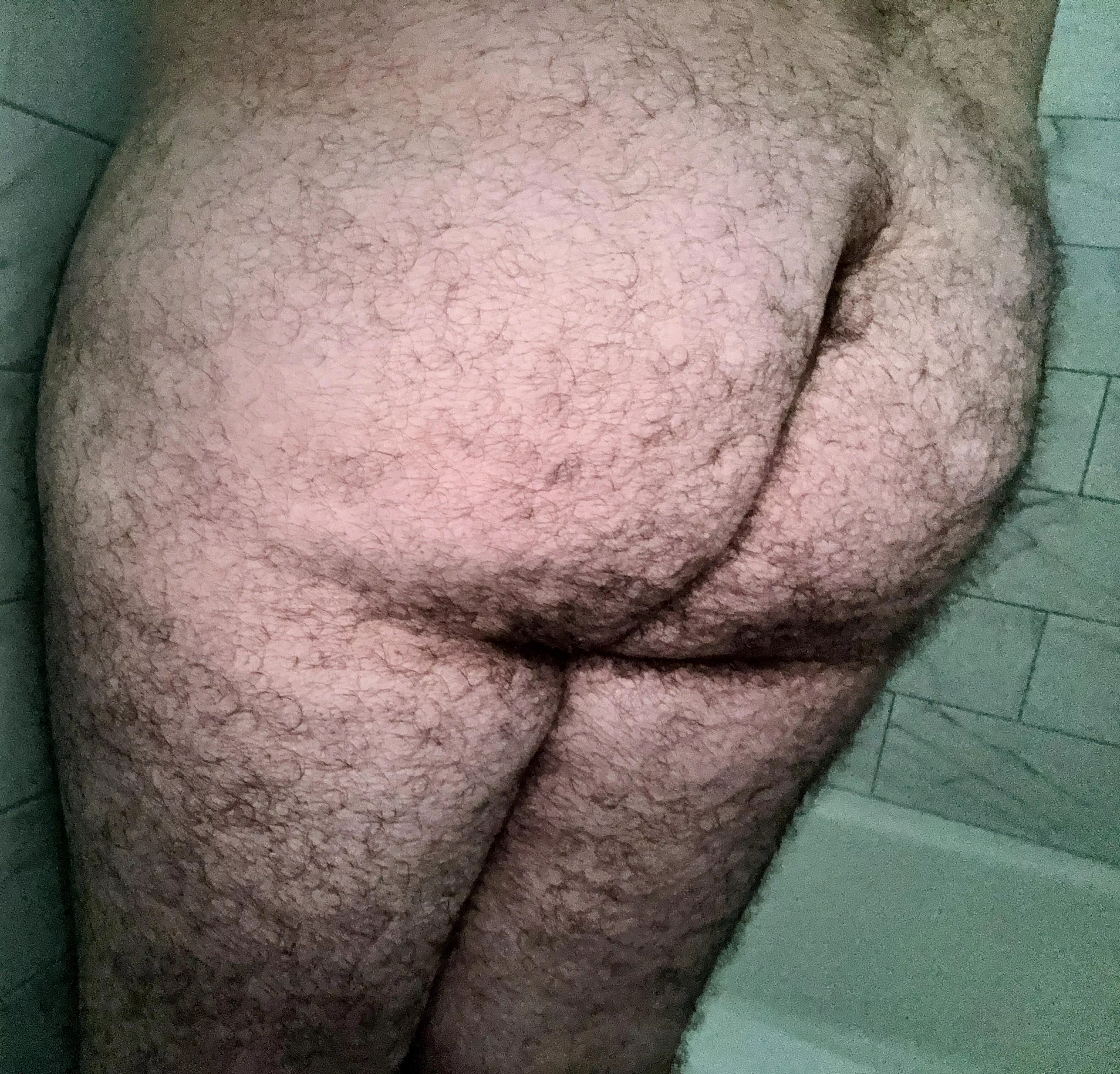 Hairy? posted by truckeriachap