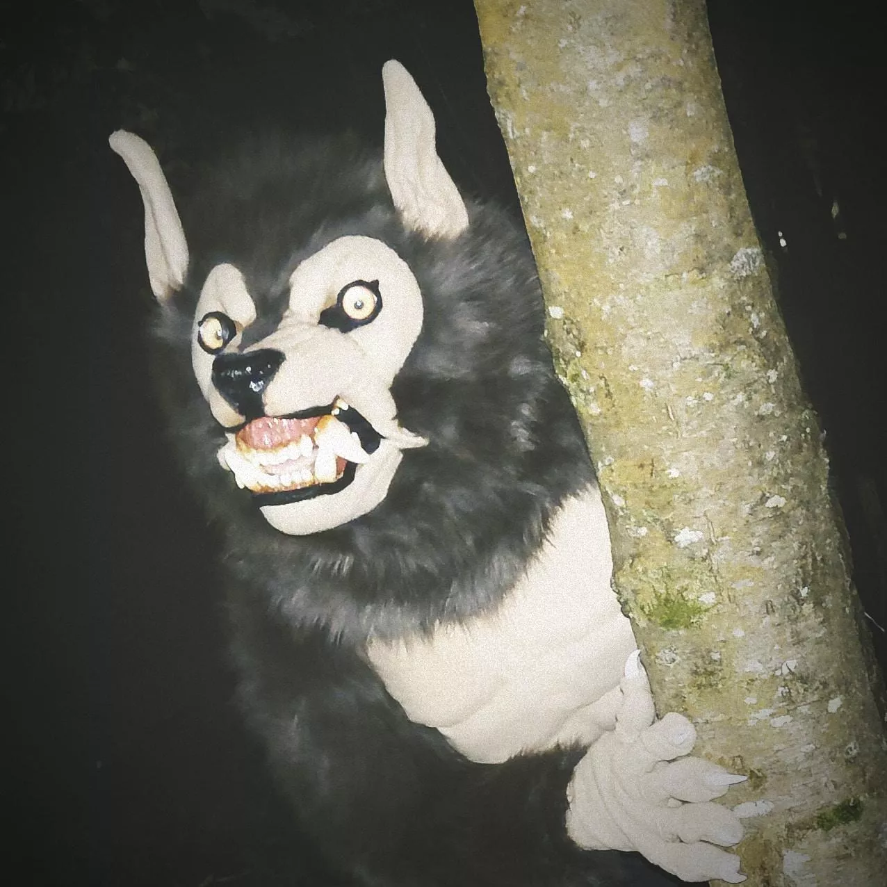 Happy Fursuit Friday! Just a friendly reminder to keep off the moors... posted by KokoroKinda