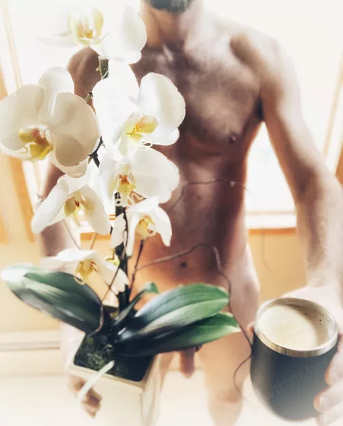 Happy International Women’s Day to all the sexy ladies in the coffee shop. 😊☕️ by timmyblur