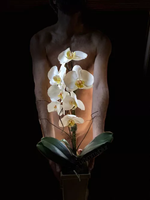 Happy International Women’s Day to all the sexy ladies of ONMWW. 😊 by timmyblur