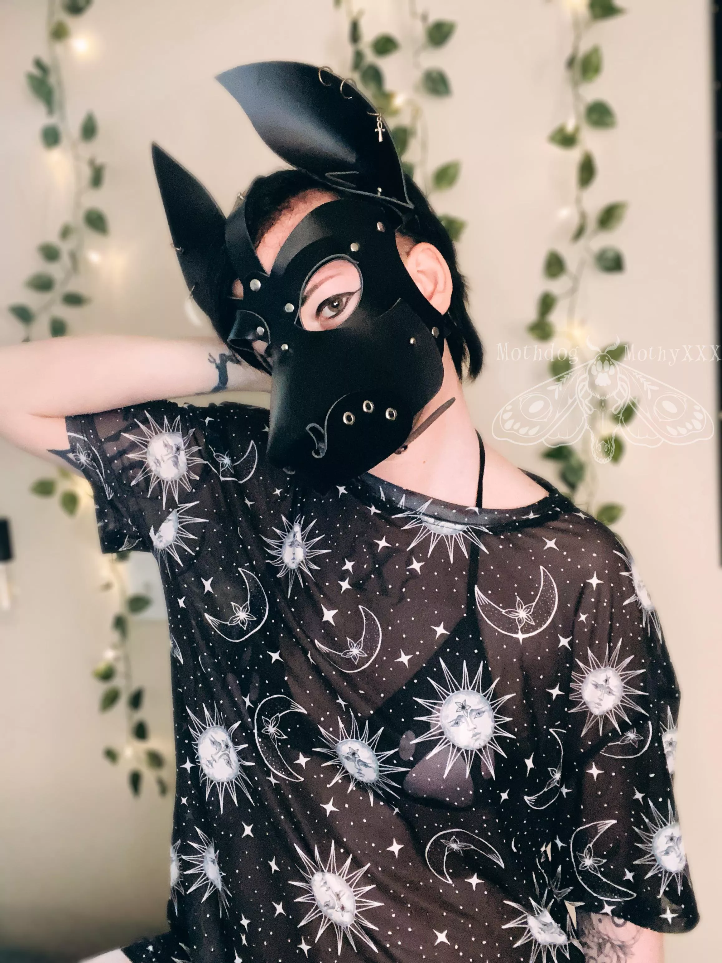 Happy Thursday, arf!  posted by TheMothdog